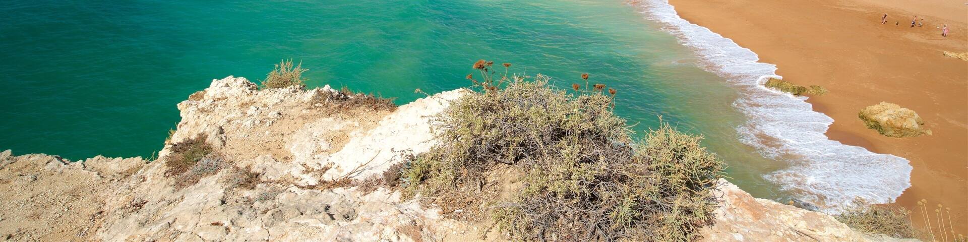 Coelha Beach showing rocky coastline, general coastal views and a sandy beach