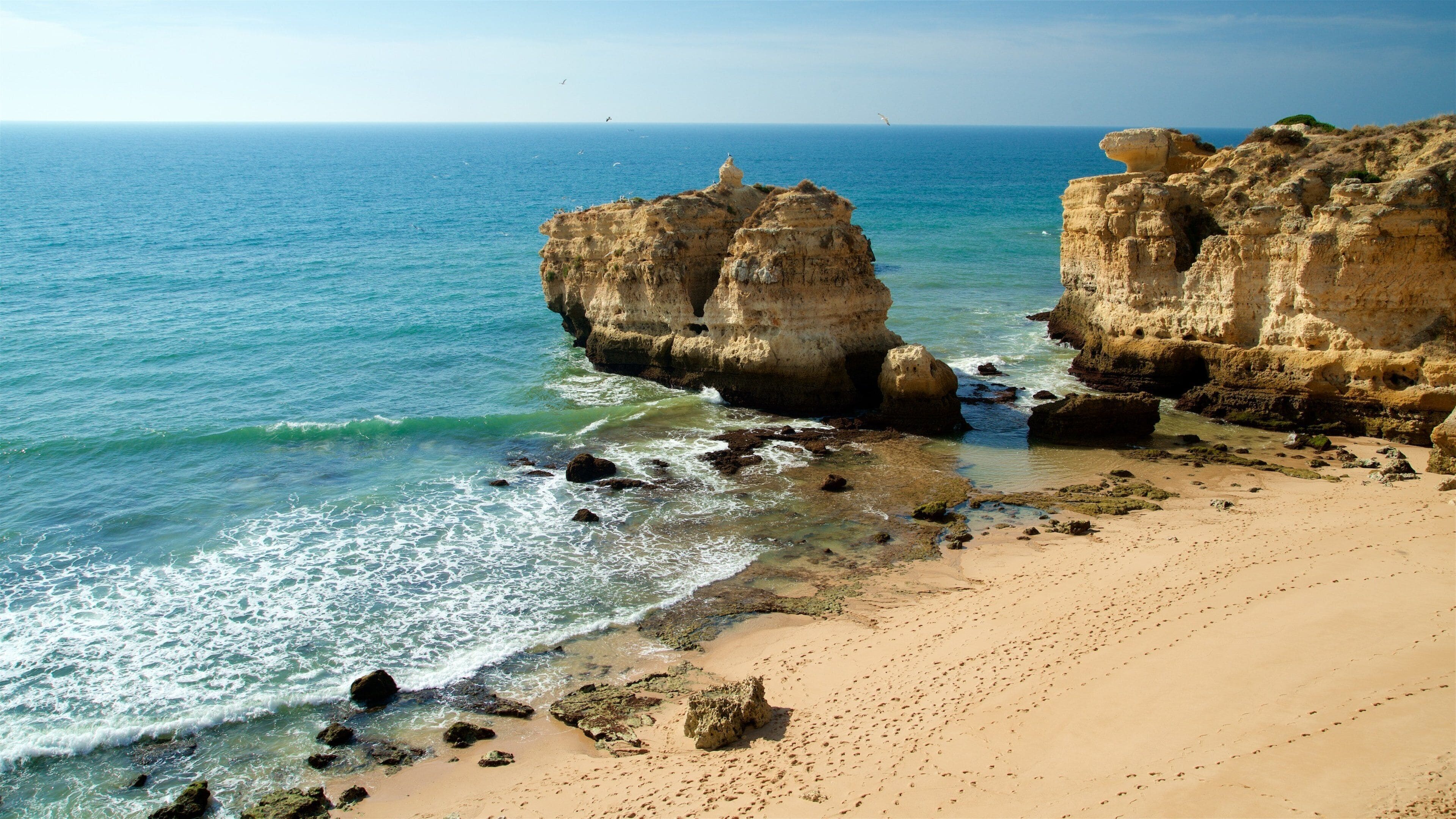 Coelha Beach featuring general coastal views, a sandy beach and rugged coastline