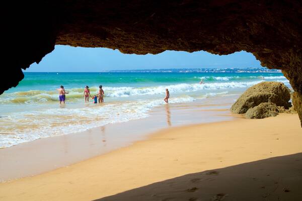 Gale Beach showing general coastal views, a beach and swimming