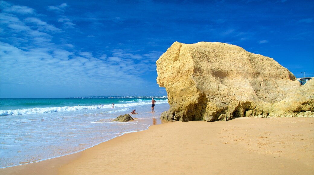 Gale Beach showing general coastal views, a sandy beach and rugged coastline