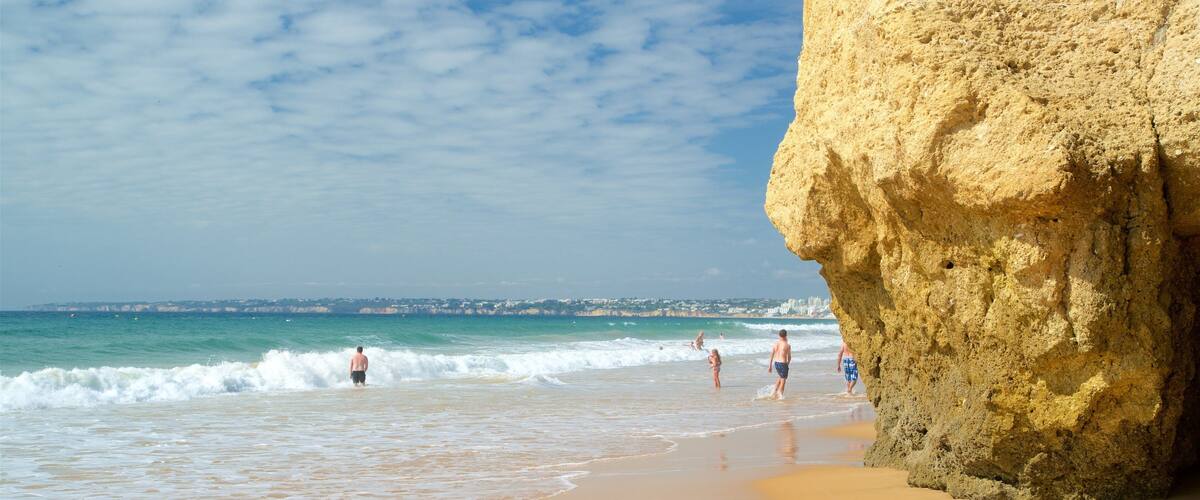 Gale Beach qui includes plage, baignade et vues littorales