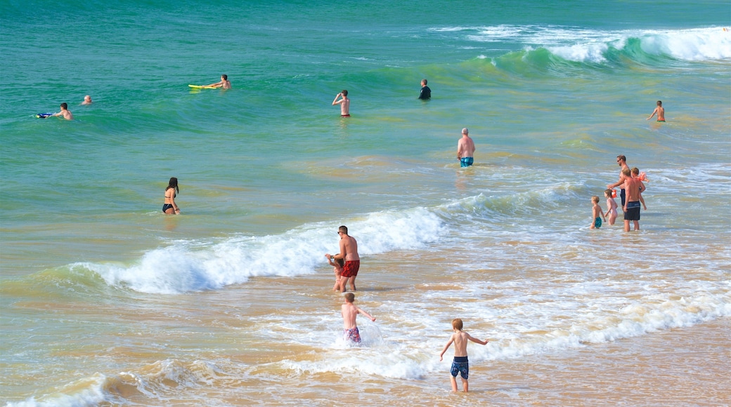 Gale Beach showing swimming, general coastal views and surf