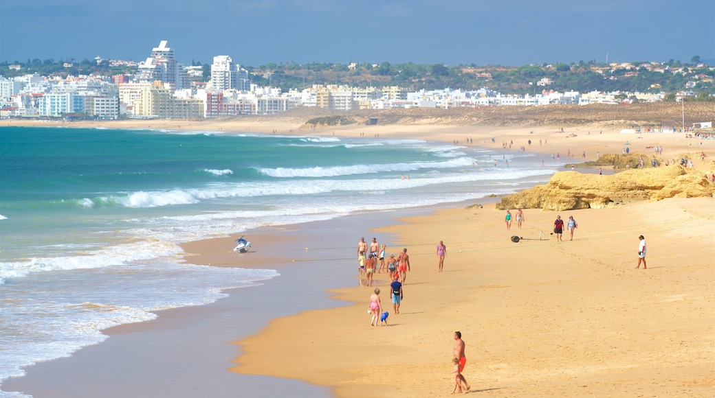 Gale Beach which includes a sandy beach, general coastal views and surf