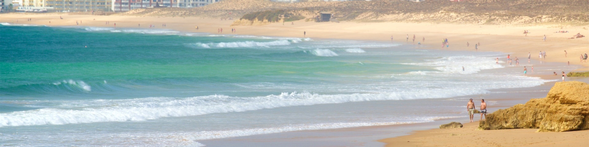 Gale Beach welches beinhaltet Strand, Wellen und allgemeine Küstenansicht