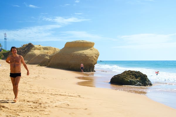 Gale Beach featuring general coastal views, rugged coastline and a beach
