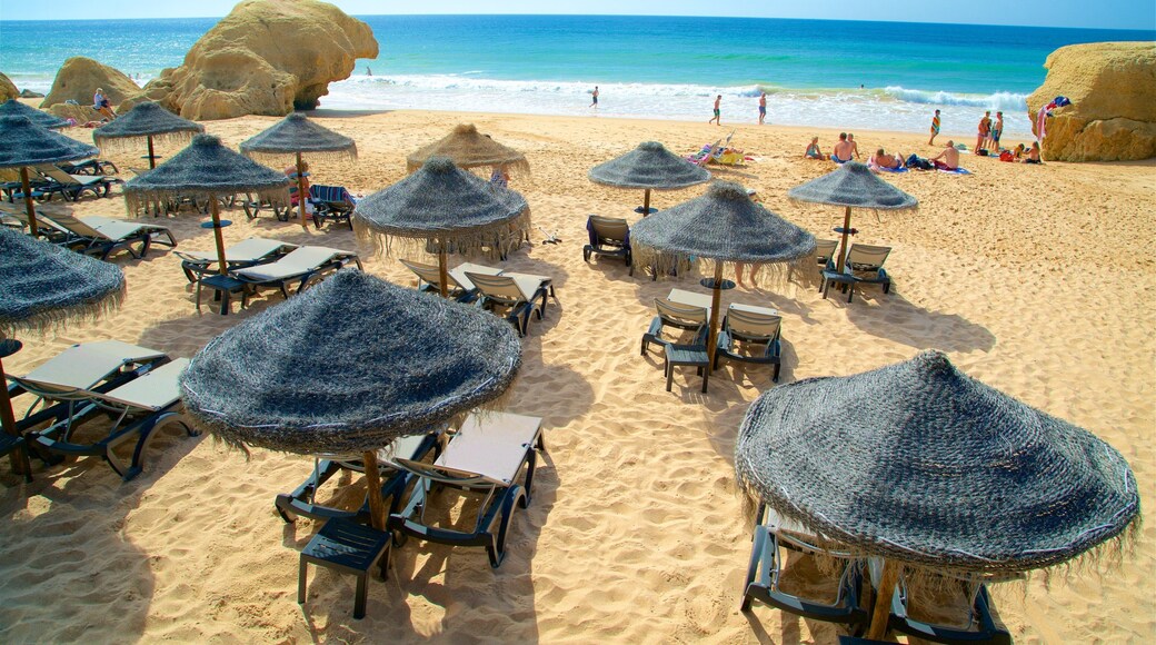 大風海灘 其中包括 沙灘 和 綜覽海岸風景