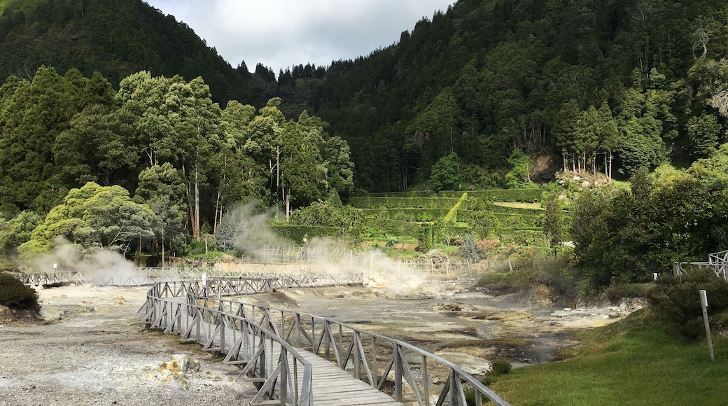 Thermal springs located close to Lake Furnas, in a national park in Furnas Valley, Azores islands, Portugal.
