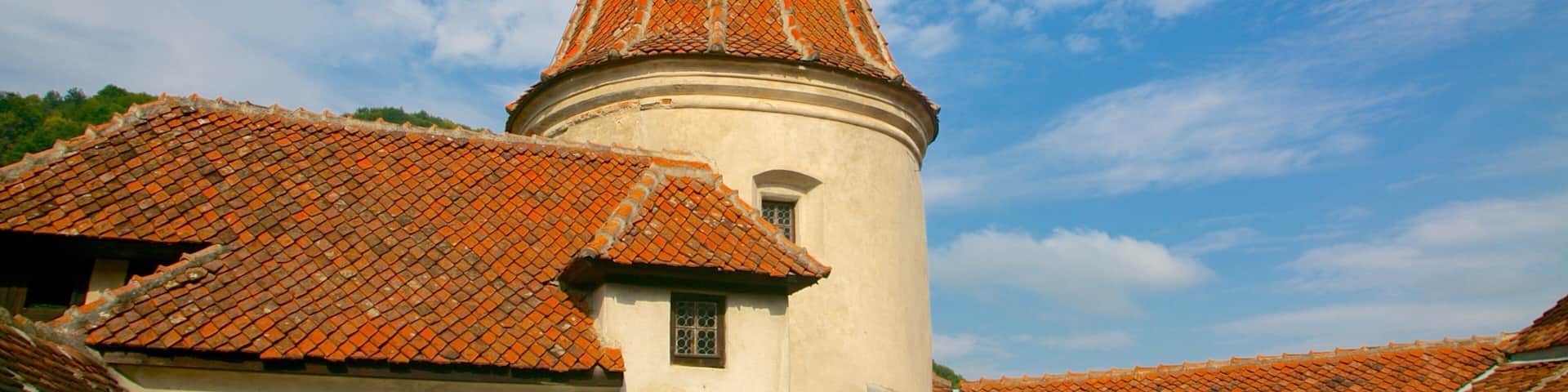 Bran Castle featuring a castle