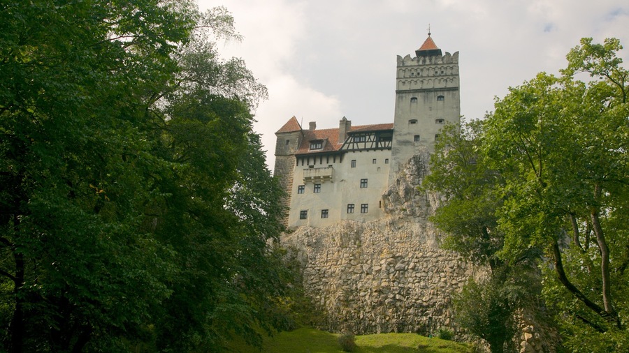A castle surrounded by lush greenery.