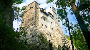 Bran Castle mettant en vedette chĂąteau ou palais et patrimoine architectural