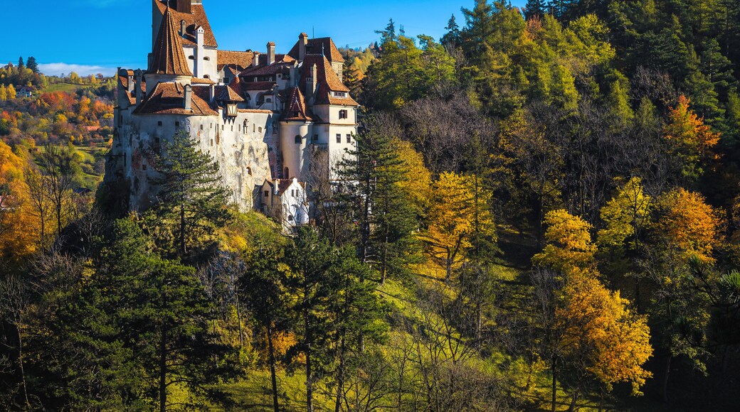 Beautiful medieval castle on the hill, Bran, Transylvania, Romania