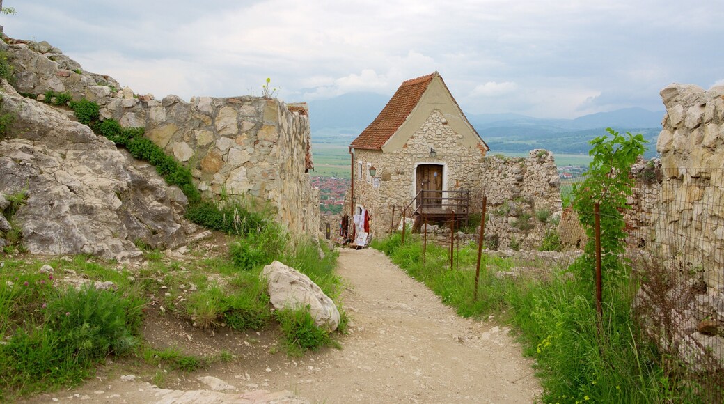Rasnov Fortress featuring building ruins