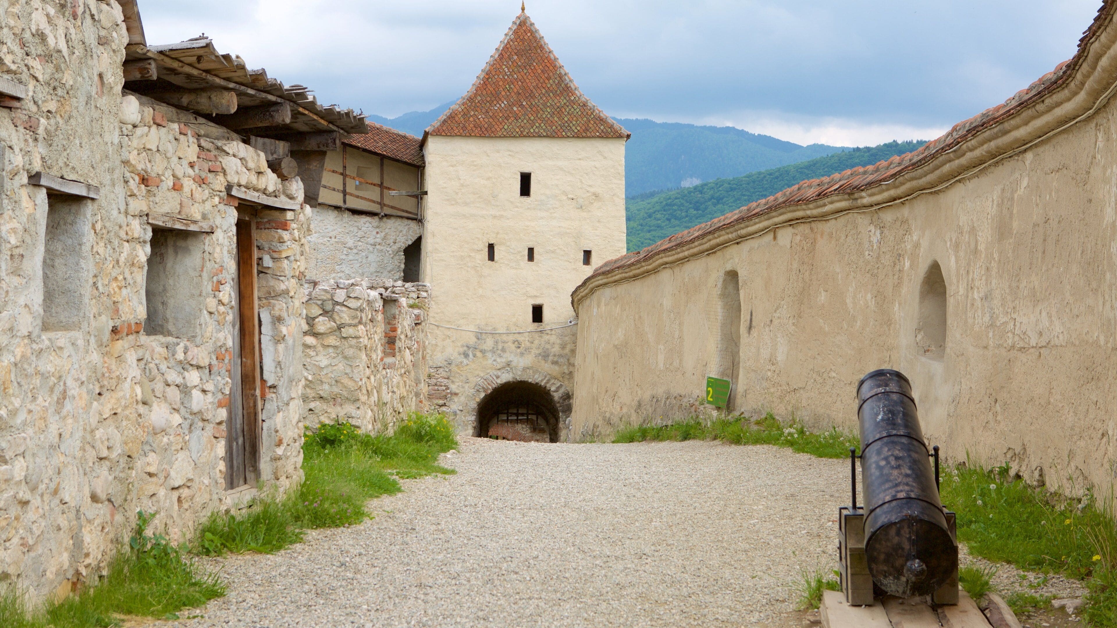 Fortaleza de Rasnov que incluye castillo o palacio