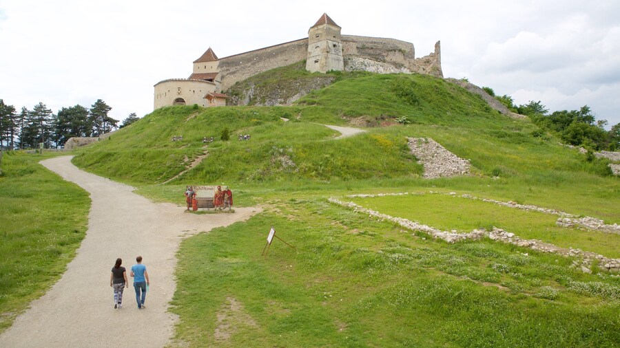 Rasnov Fortress montrant château ou palais