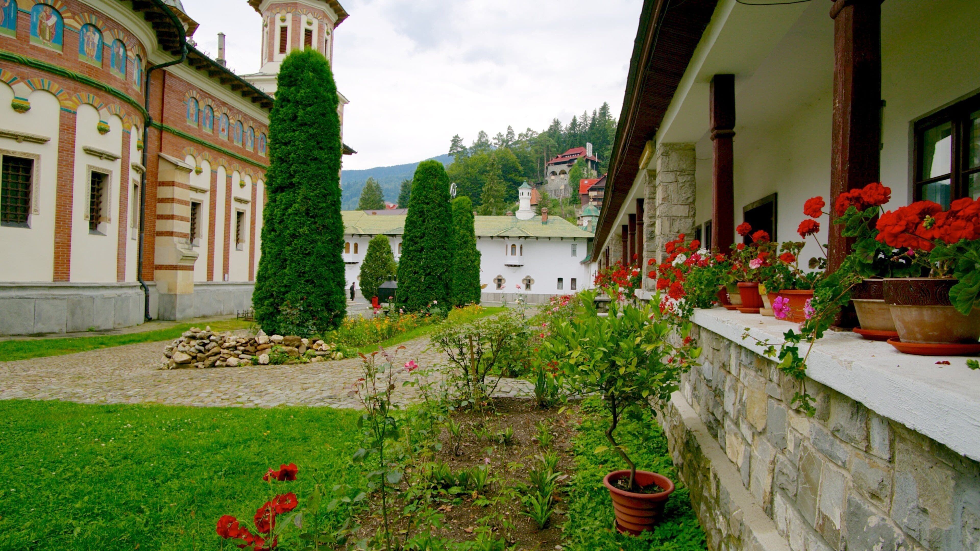 Sinaia kloster som viser hage og blomster
