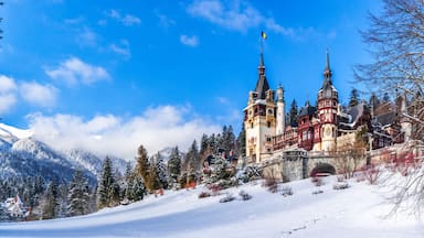 Un castillo cubierto de nieve con dos torres, rodeado de árboles y montañas cargadas de nieve.