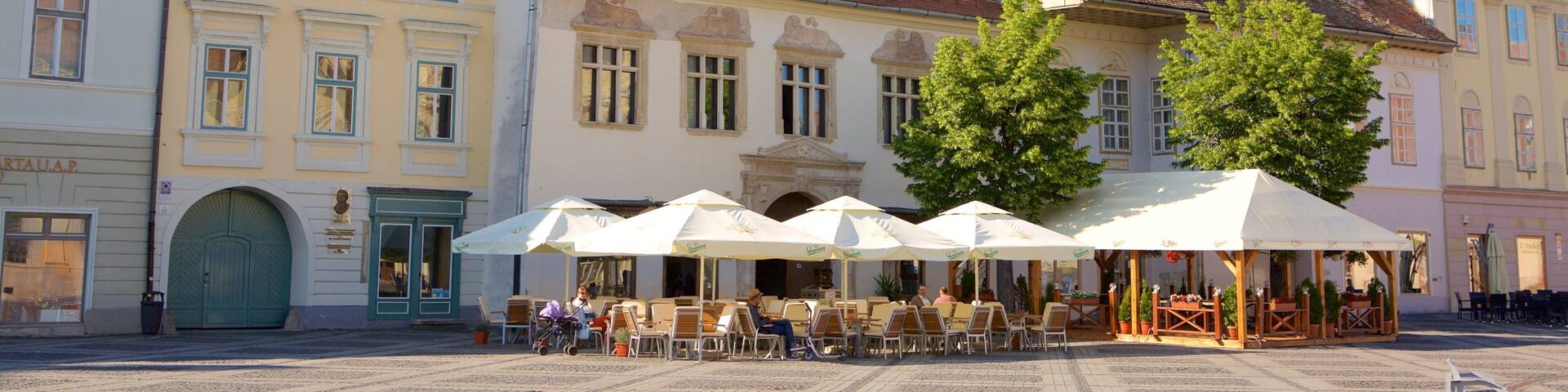 Piata Mare which includes a square or plaza and heritage architecture