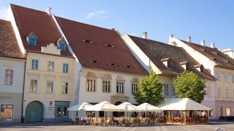 Una plaza histórica europea con edificios tradicionales, cafés al aire libre y un árbol destacado.