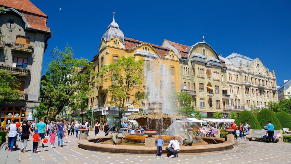 Piata Victoriei welches beinhaltet Springbrunnen und historische Architektur