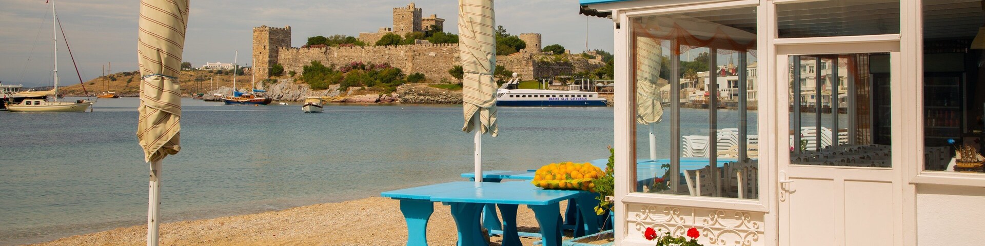 Cena costeira com uma praia, uma mesa com flores amarelas, um grande reservatório de água e um edifício com telhado azul que dá vista para um castelo histórico.