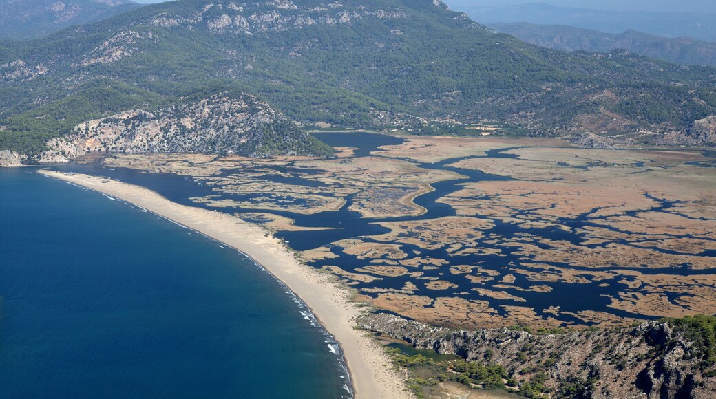 Plage d'Iztuzu