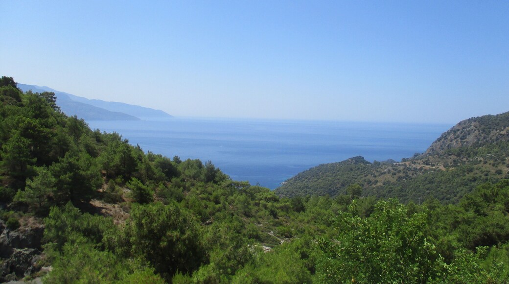 Such a climb but so worth the views