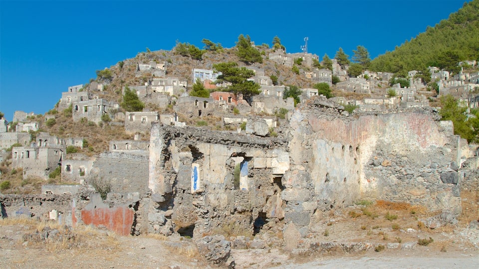 A hillside with ancient ruins and scattered vegetation.