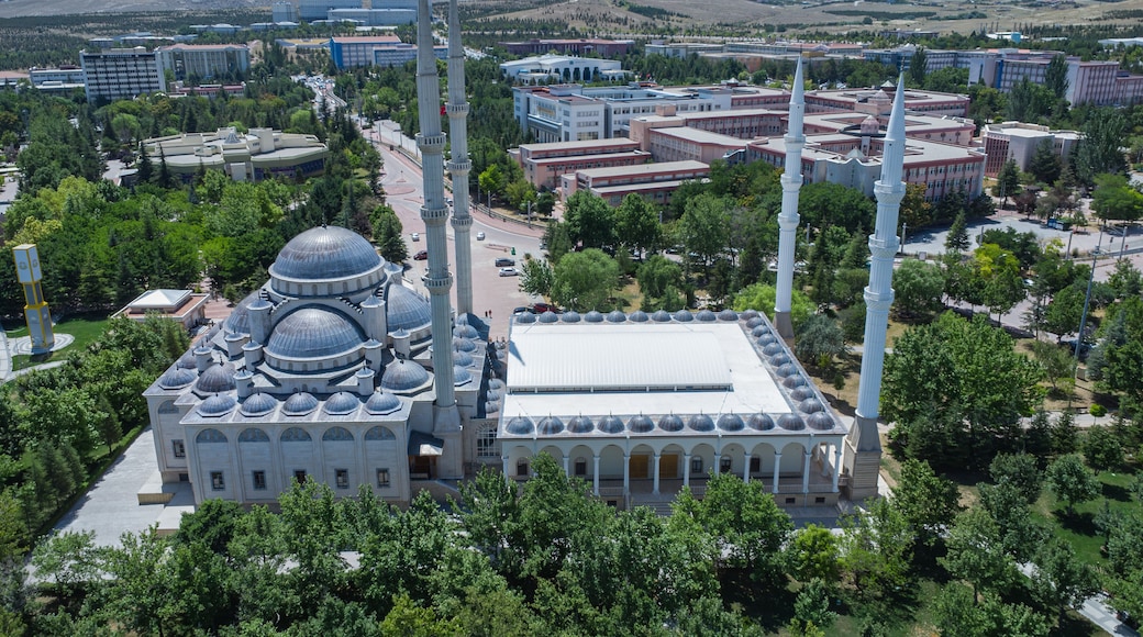 Universidad de Selcuk