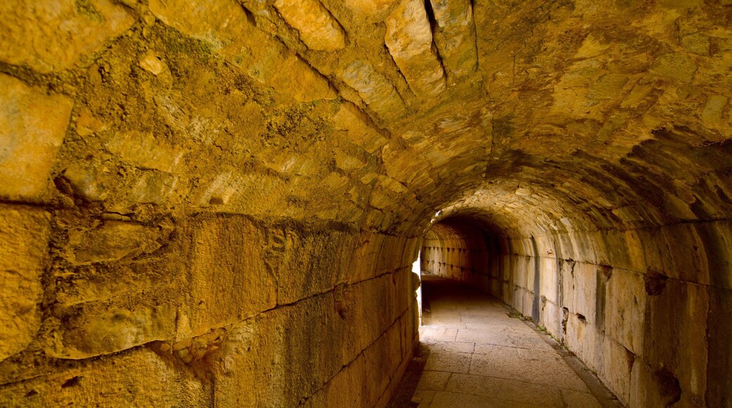 ミレトス遺跡 どの含み 廃墟 と 遺跡