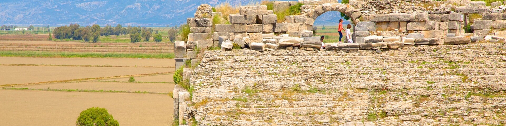 Miletus Ruins showing a ruin