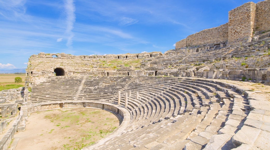 ミレトス遺跡 表示 廃墟