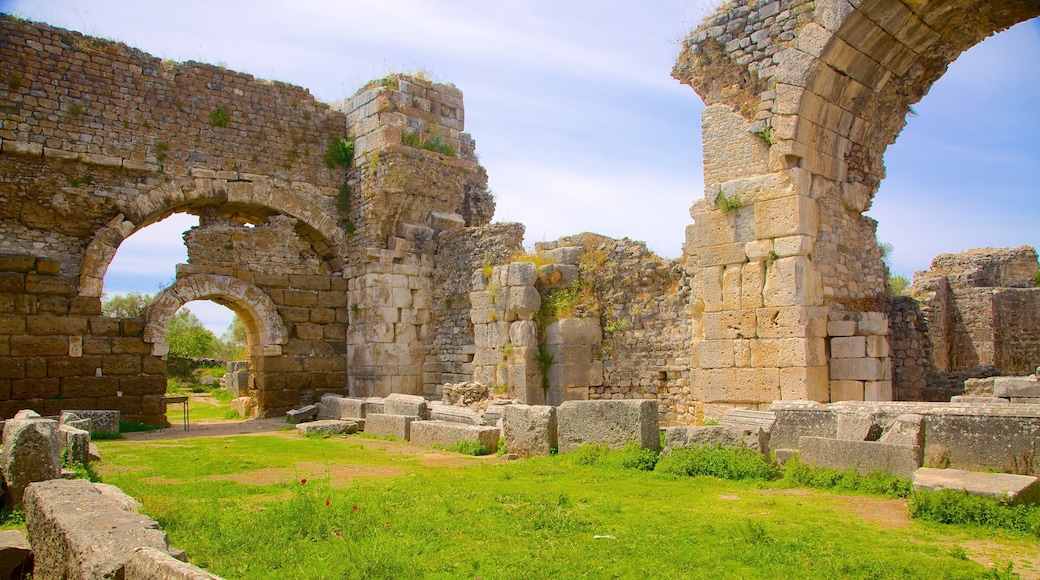 ミレトス遺跡 フィーチャー 崩れた建物