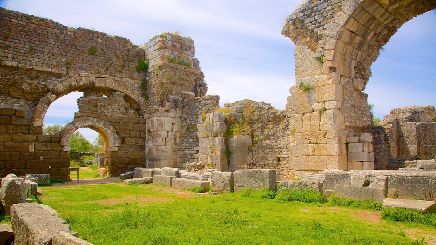 Miletus Ruins featuring a ruin