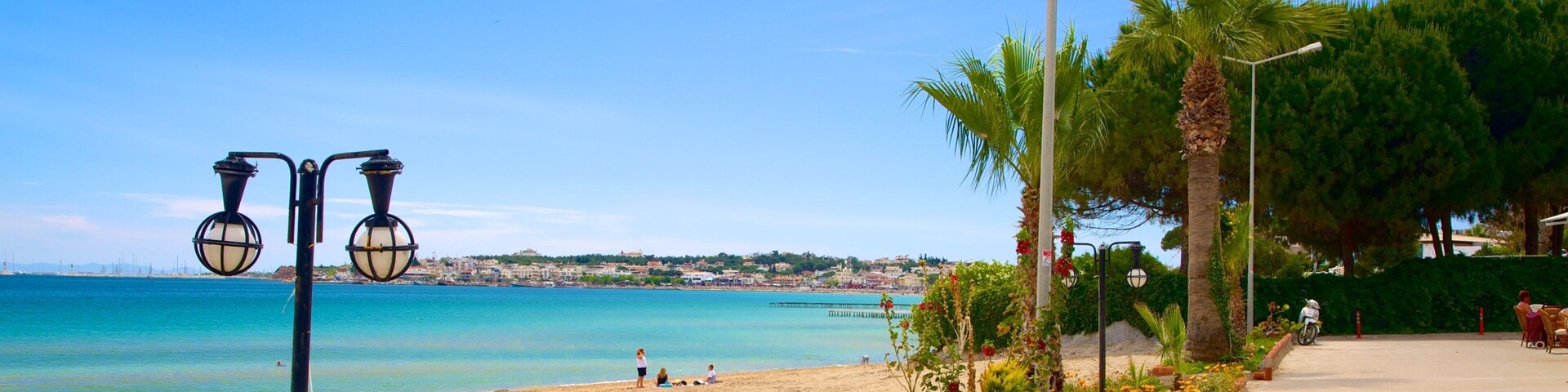 A beach with clear blue water, palm trees, and a cityscape in the background.