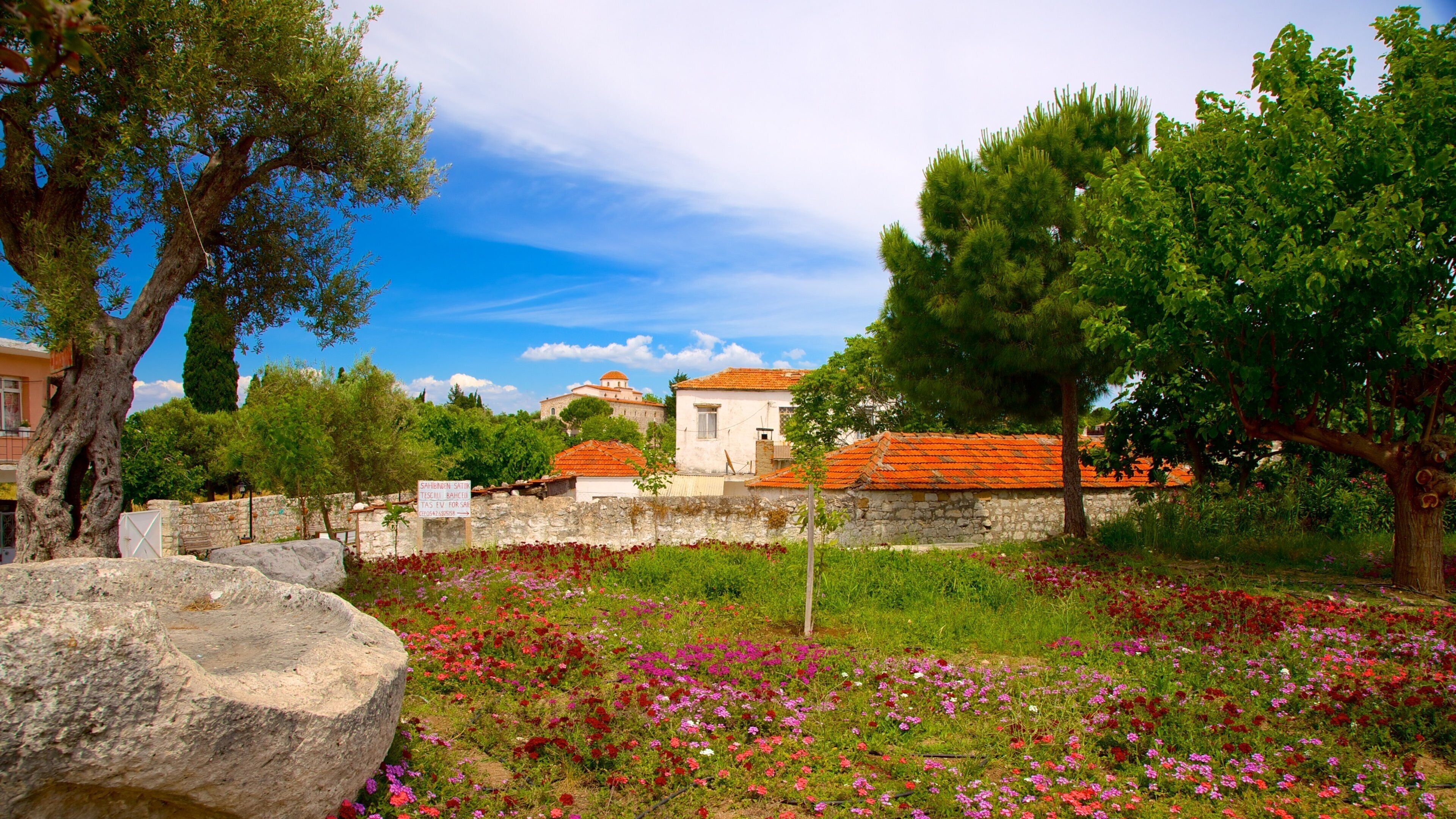Didyma mostrando un jardín y flores