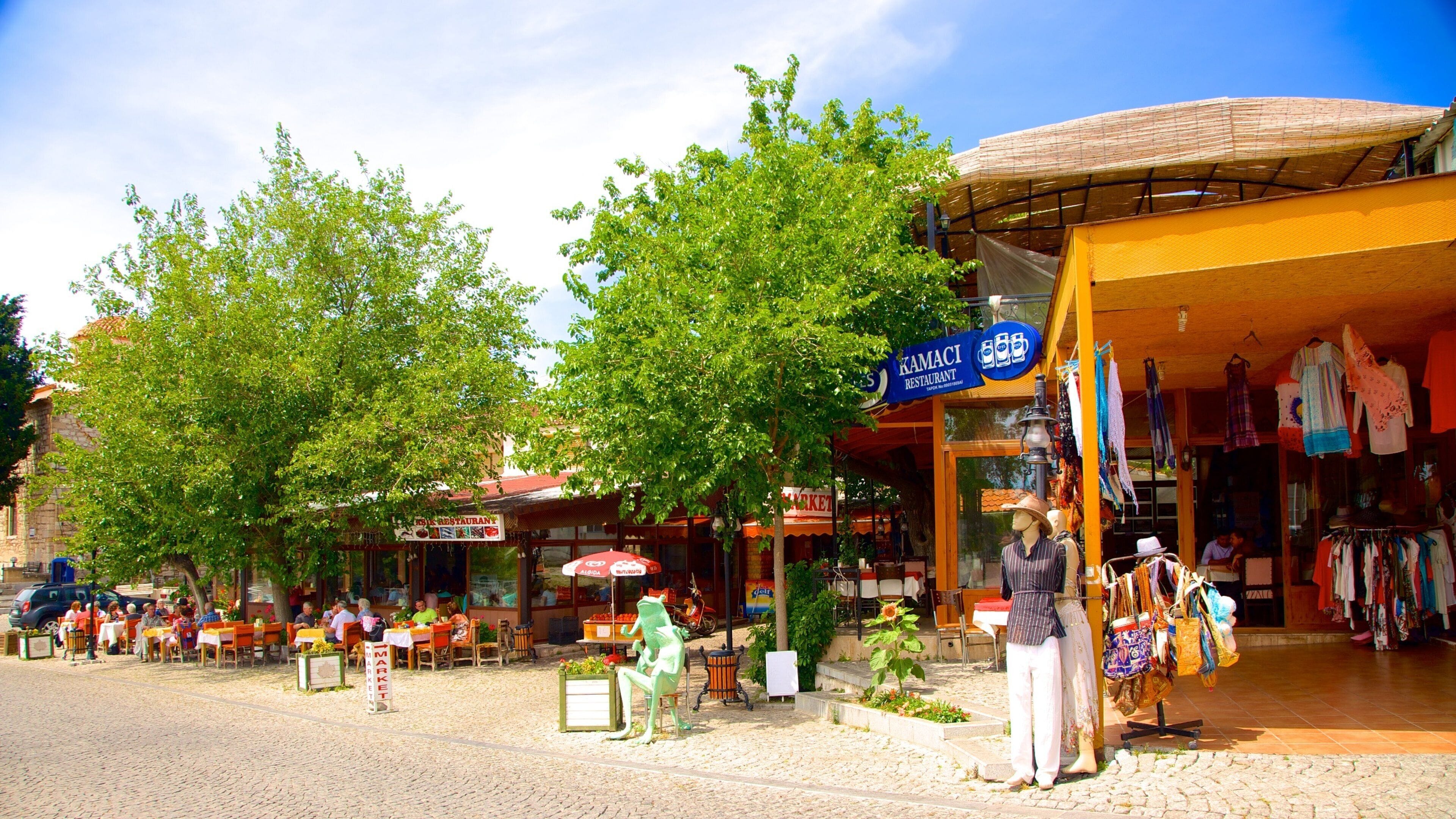 Didyma showing street scenes