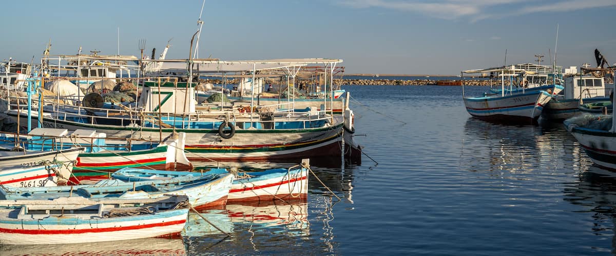 A marina with several boats docked.