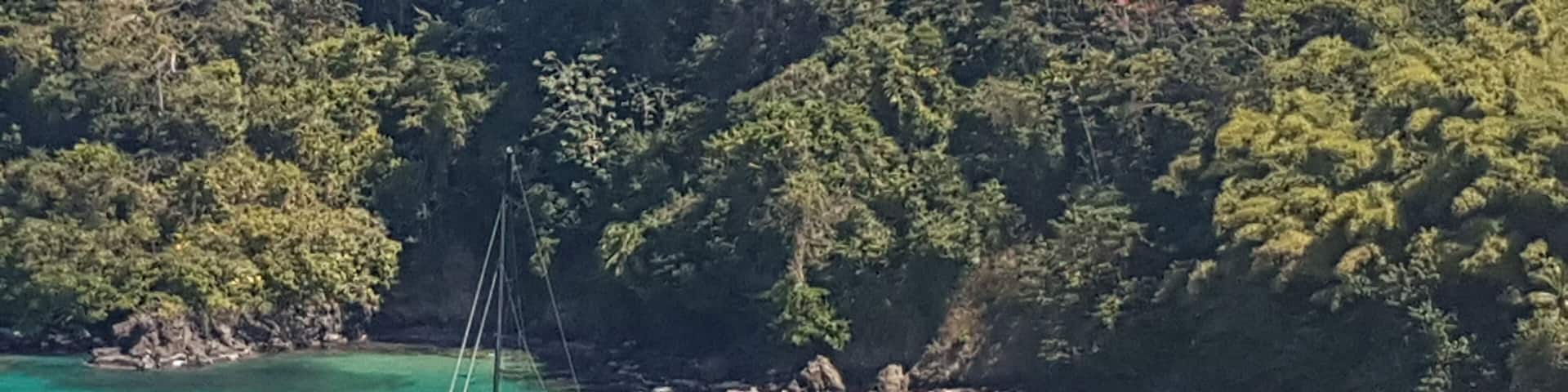 Beautiful pairing of the caribbean sea and the Tobago forrest!