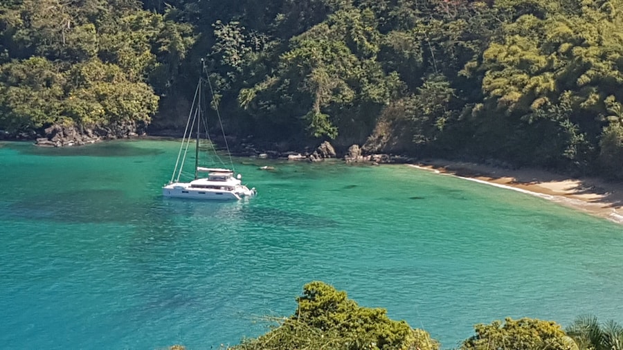 Beautiful pairing of the caribbean sea and the Tobago forrest!