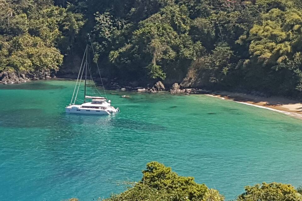 A white yacht on turquoise waters near a sandy beach surrounded by dense green forest.