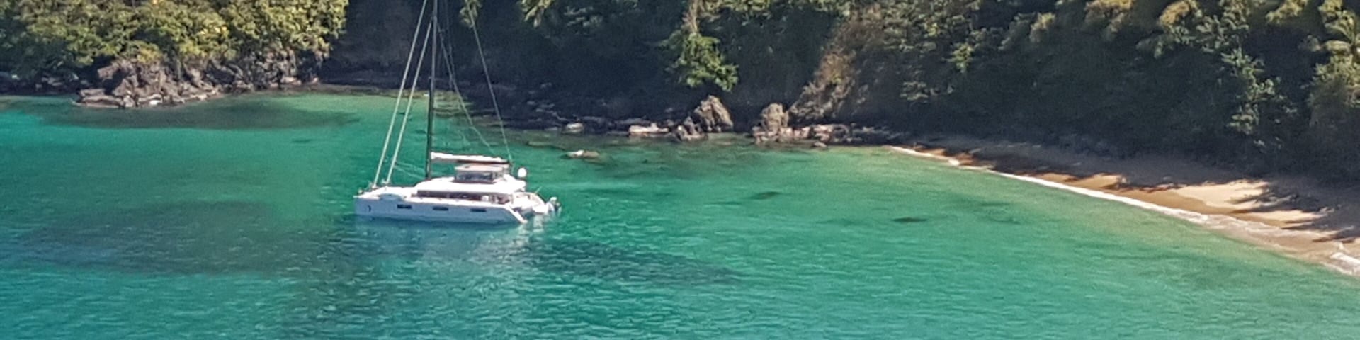 Beautiful pairing  of the caribbean sea and the Tobago forrest!