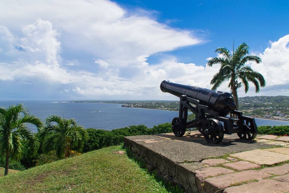 A cannon on a stone platform overlooking a coastal landscape with palm trees and the sea.