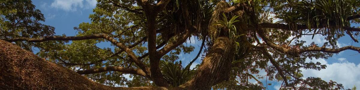Fort King George Park in Scarborough, Trinidad und Tobago