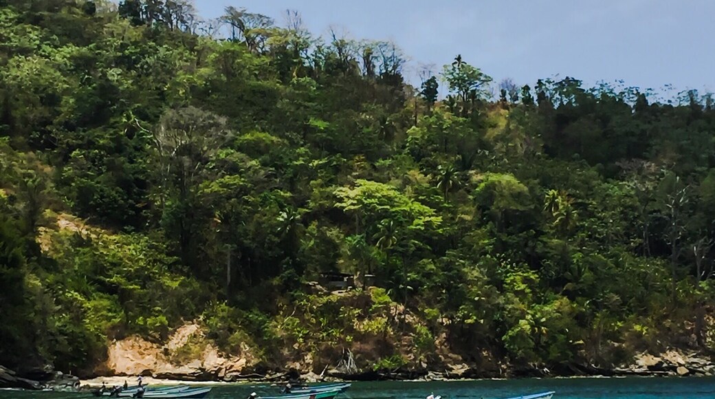 The very end of Maracas Beach. I'll start frequenting this side a little bit more.