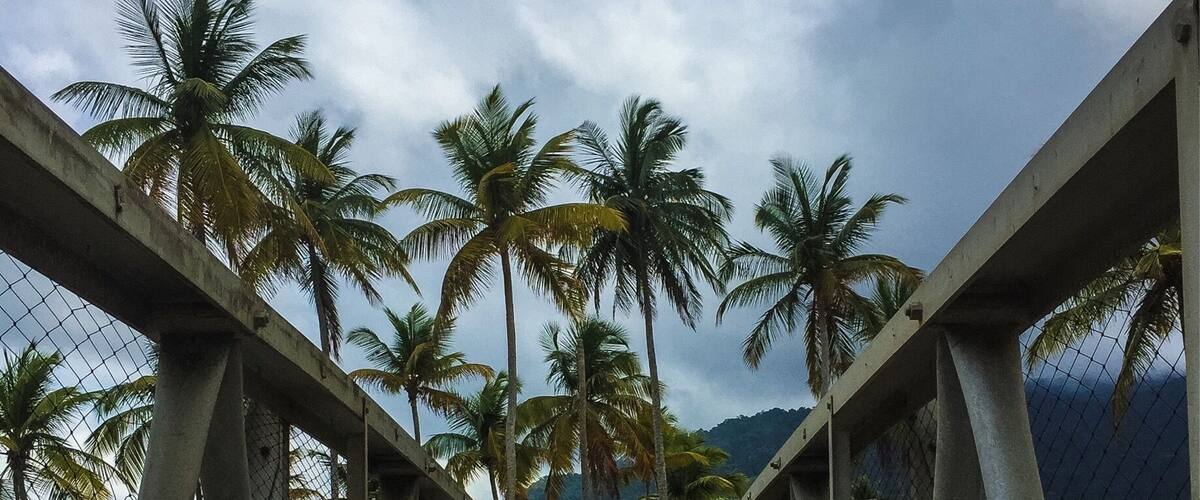 The pedestrian bridge at Maracas Bay. Far away from the food but it's a great spot for pretty views! #Bestof5