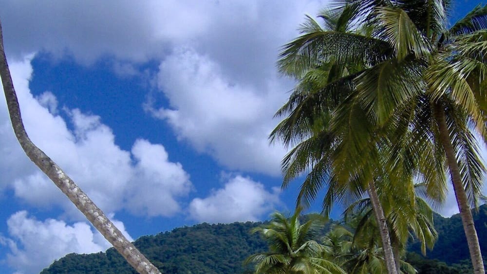 Going to Maracus Beach on weekends was a normal occurrence growing up in Trinidad. The beach lies within a bay and is surrounded by mountains. Swim, relax, and have shark and bake from one of the many local huts.