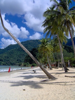 Going to Maracus Beach on weekends was a normal occurrence growing up in Trinidad. The beach lies within a bay and is surrounded by mountains. Swim, relax, and have shark and bake from one of the many local huts.