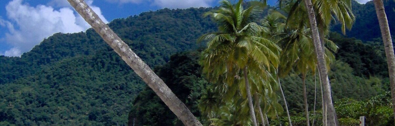 Going to Maracus Beach on weekends was a normal occurrence growing up in Trinidad. The beach lies within a bay and is surrounded by mountains. Swim, relax, and have shark and bake from one of the many local huts.