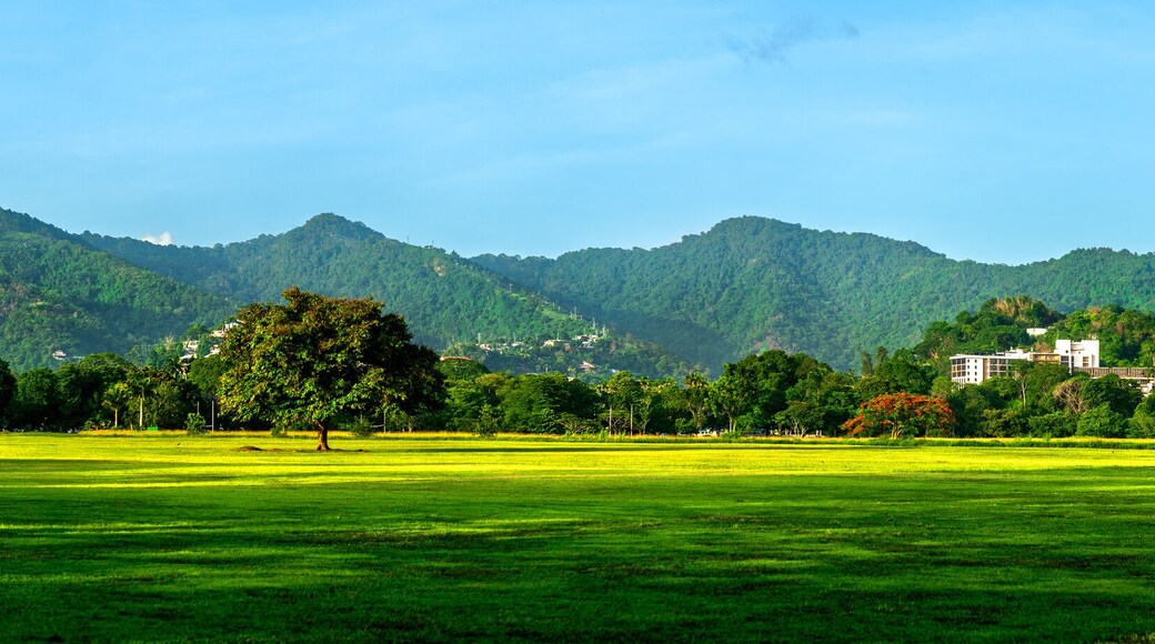 Queen's Park Savanah