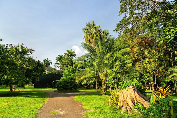 Royal Botanic Gardens in Port of Spain, Trinidad and Tobago: A Lush Oasis of Tropical Flora